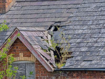 Professional emergency water extraction services services in Laurel - water damage restoration service